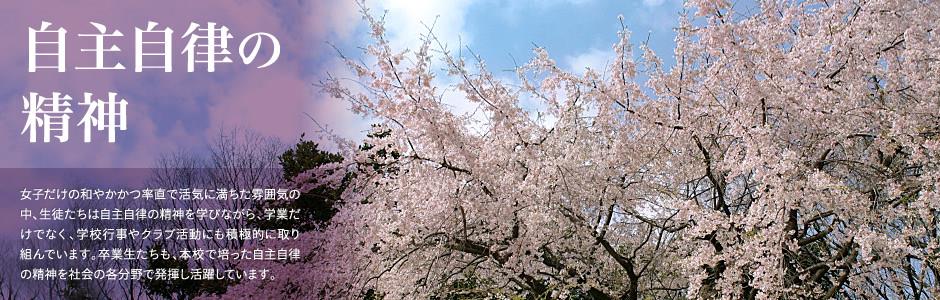 打鱼平台欢迎你